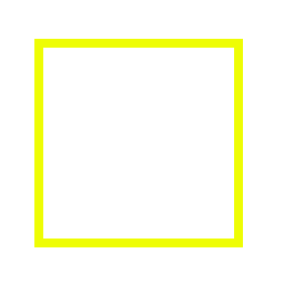 The Perimeter of the square